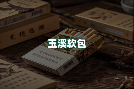 玉溪软包
